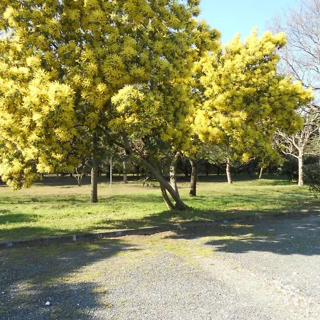 Maison Cosy, 4 Pers, Proche Plage, Soulac-sur-mer, Parking, Terrasse, Cuisine Equipee - Fr-1-648-98 *